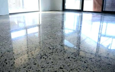 5 great reasons for polished concrete floors (says your dog)