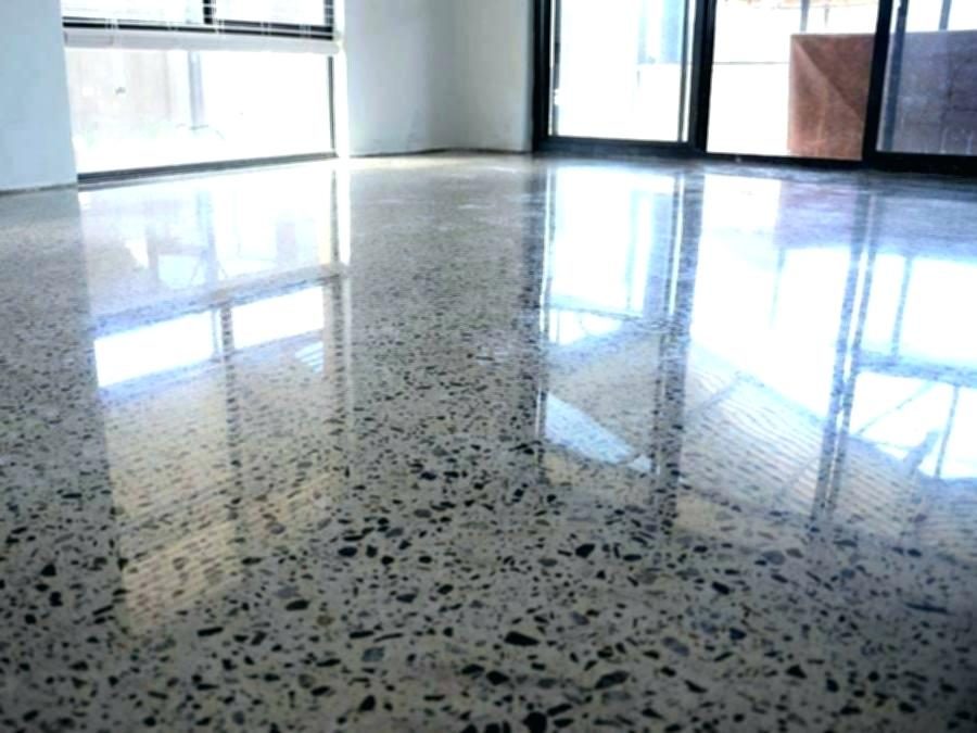 5 great reasons for polished concrete floors (says your dog)